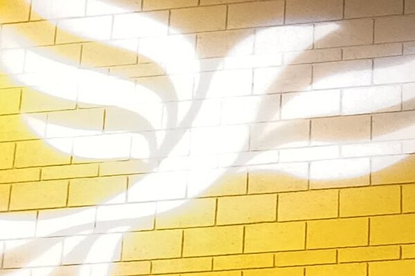 Lib Dem logo bird projected on blockwork